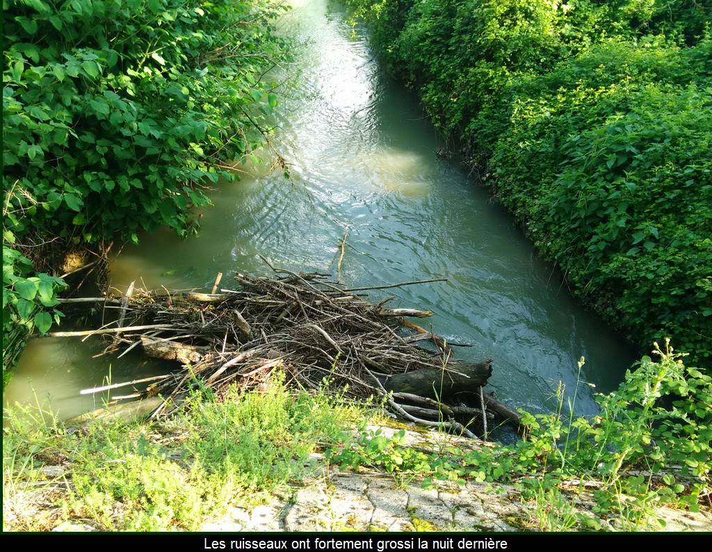 http://www.meteoalpes.com/img/photonews/2016/01/ain14052016-2.jpg